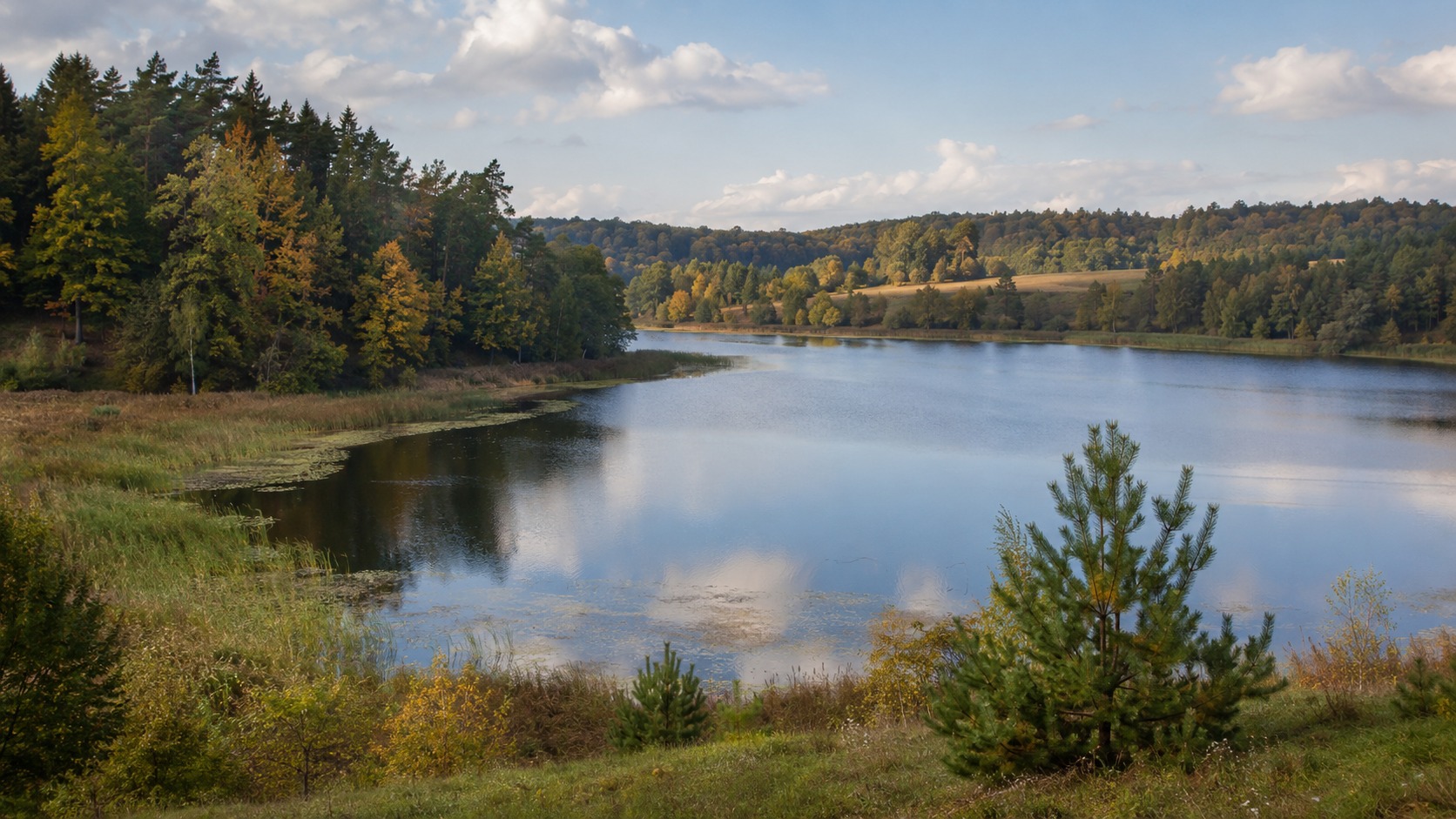 Roztocze — Cisza / Jezioro